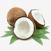 Coconut